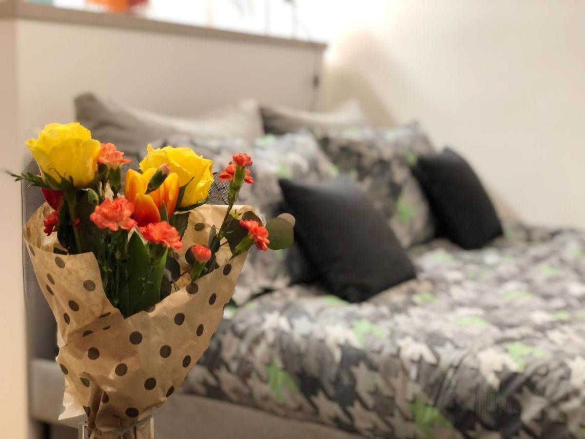 Promo - Flora Novi Sad